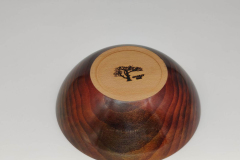 Coloured-bowl-1