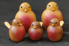 Robins2