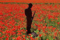 Gnarlyoaksoldier-scaled