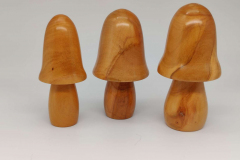Cherry-Toadstool